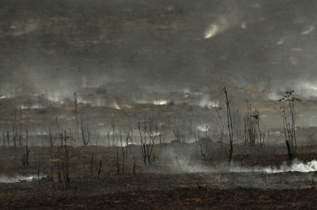 x81524238_O-Para-e-o-estado-com-maior-indice-de-desmatamento-da-Amazonia-Legal-de-acordo-com-Bole.jpg.pagespeed.ic.WzbgDhetCC